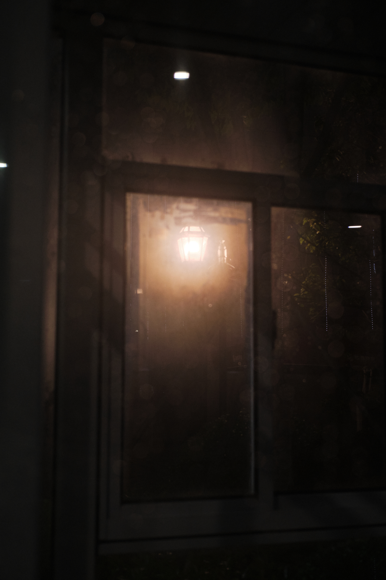 Night scene 13