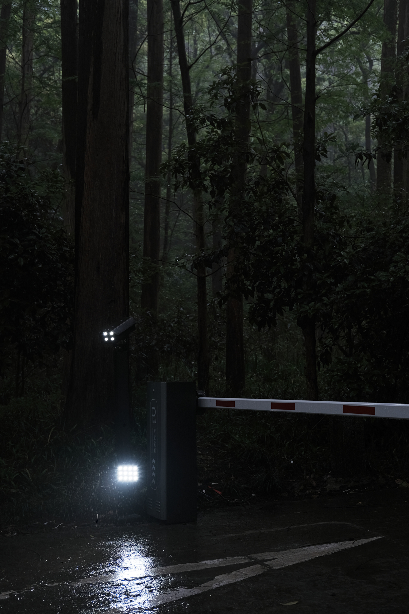Night scene 3